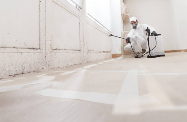 24/7 Emergency Black Mold Remediation experts in Manchester, KY